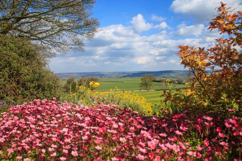 Bolehill Farm Holiday Cottages 30