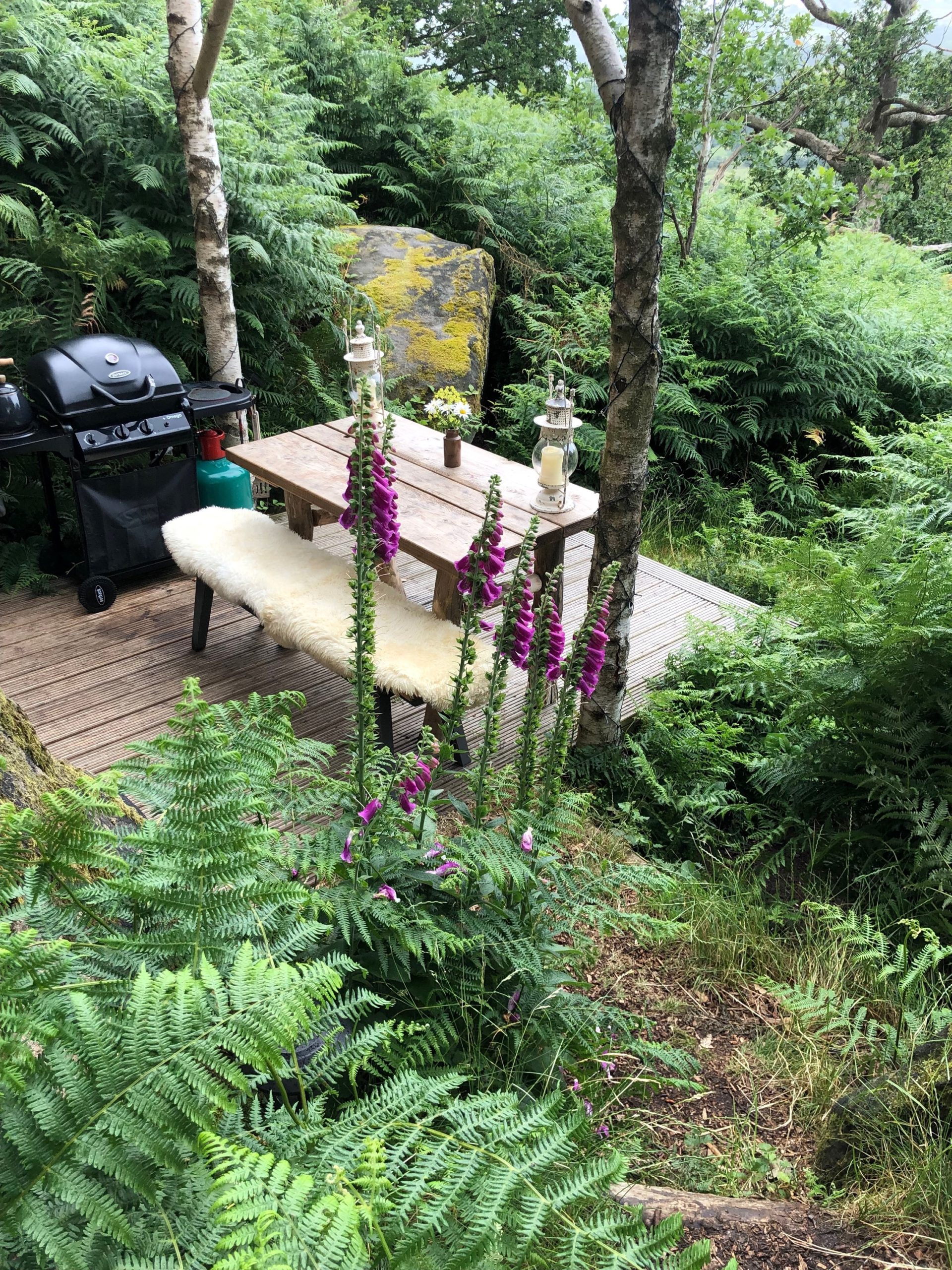 Boulder Field Cabin & Hot Tub 6