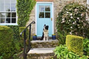 Canine Cottages