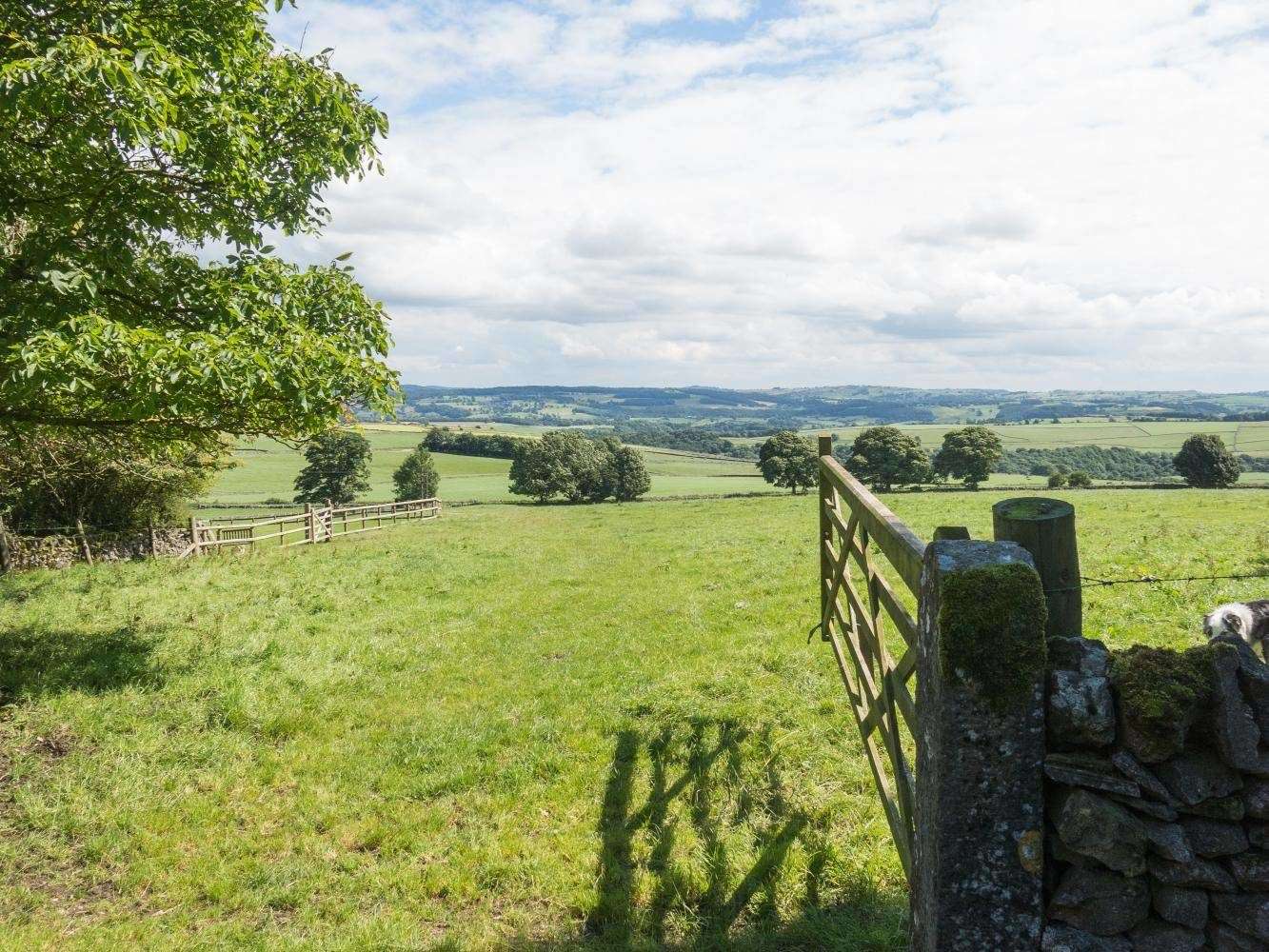 Bolehill_Farm_field