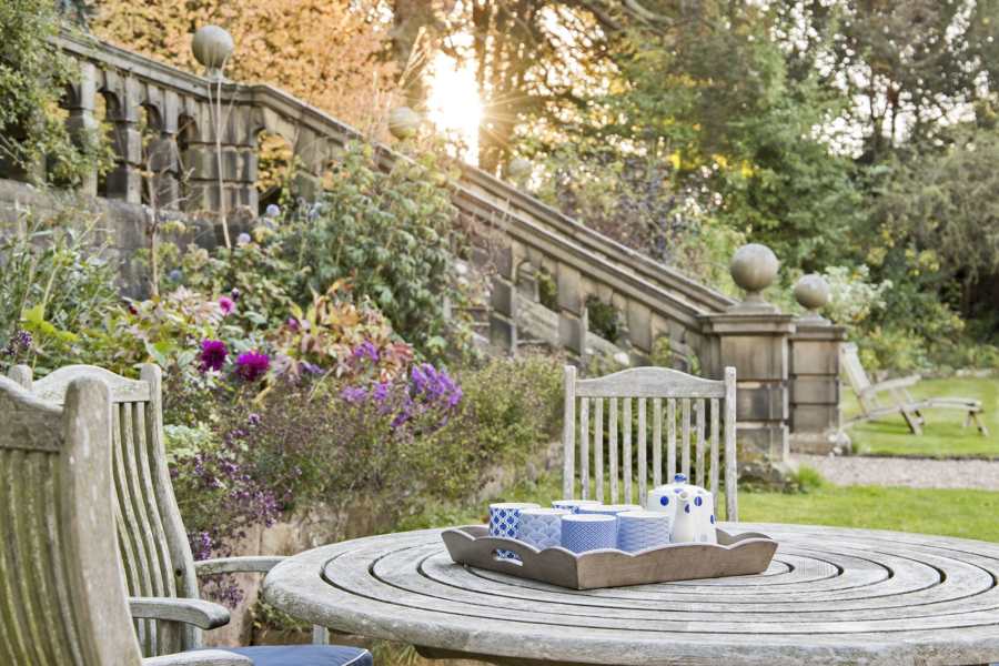 Darley House 10