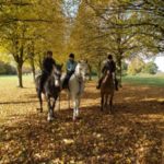 Derbyshire_Horse_Trekkers_2 The Best Peak District Experiences! 1