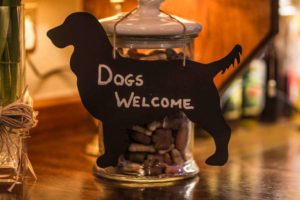 Yorkshire Bridge Inn Dogs