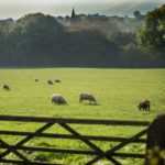 Peak District Towns and Villages: Derbyshire 5