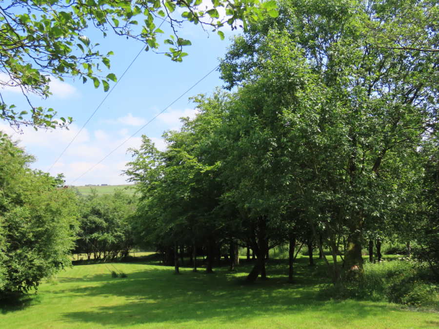 Field House Farm Holidays 10