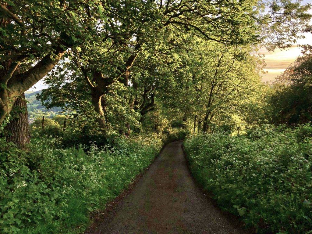 Hope Valley Train Station Walks 10 Hathersage and Stanage Edge walk