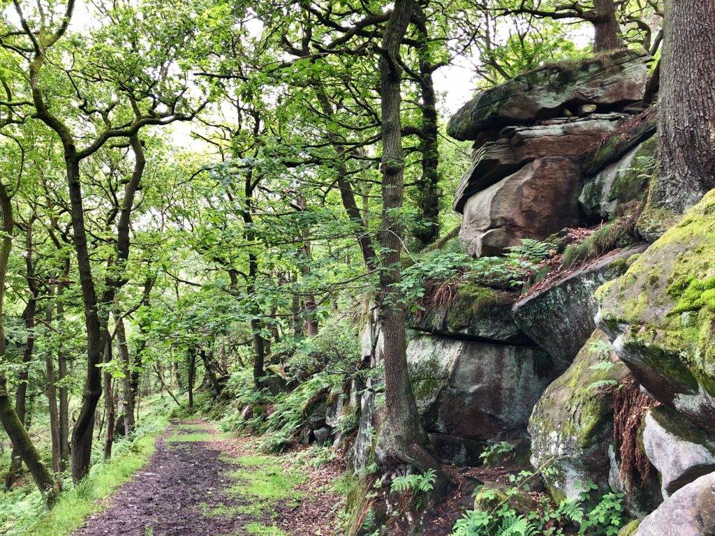 Hope Valley Train Station Walks 3 Padley Gorge and Surprise View (4.5 miles)