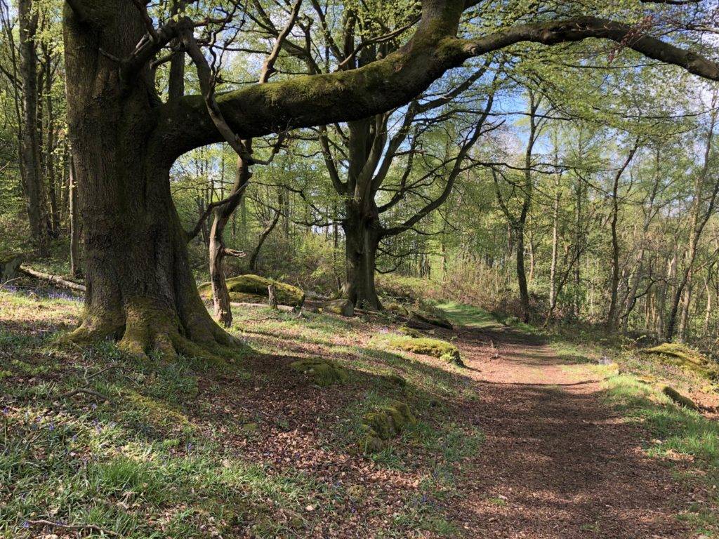 Froggatt 3 Froggatt