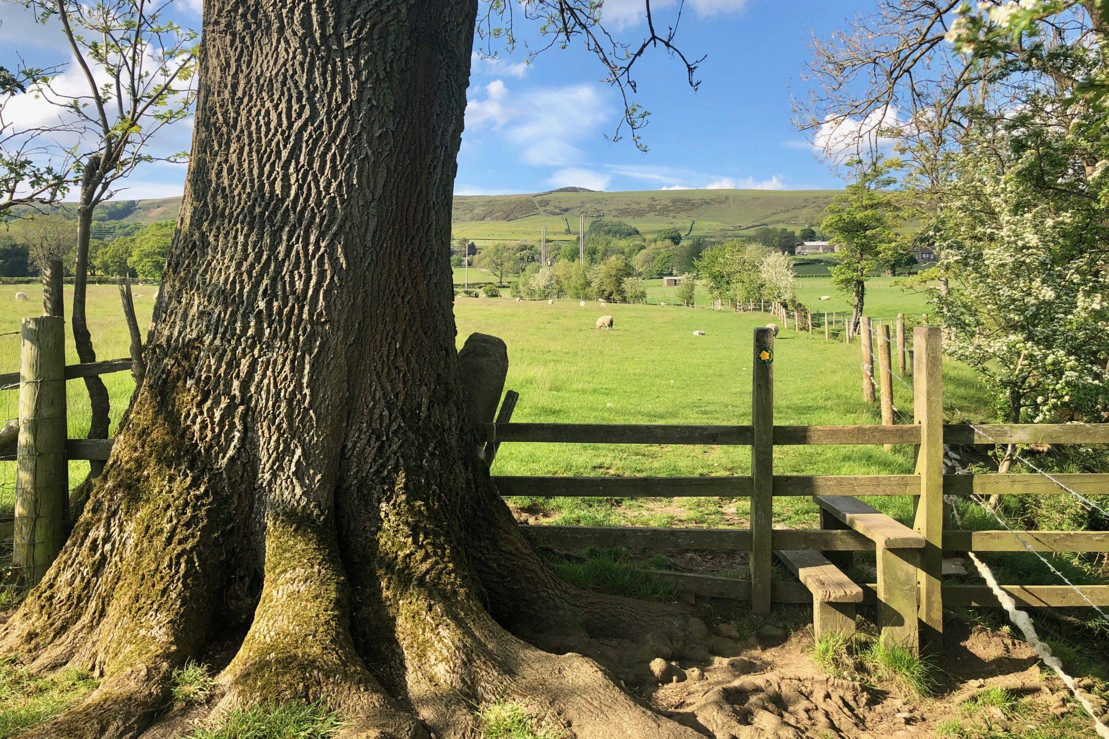 10 Best Peak District Walks