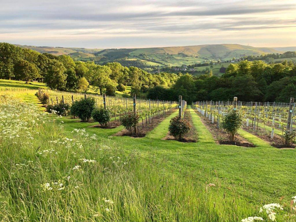 Hope Valley Train Station Walks 9 Hathersage and Stanage Edge walk
