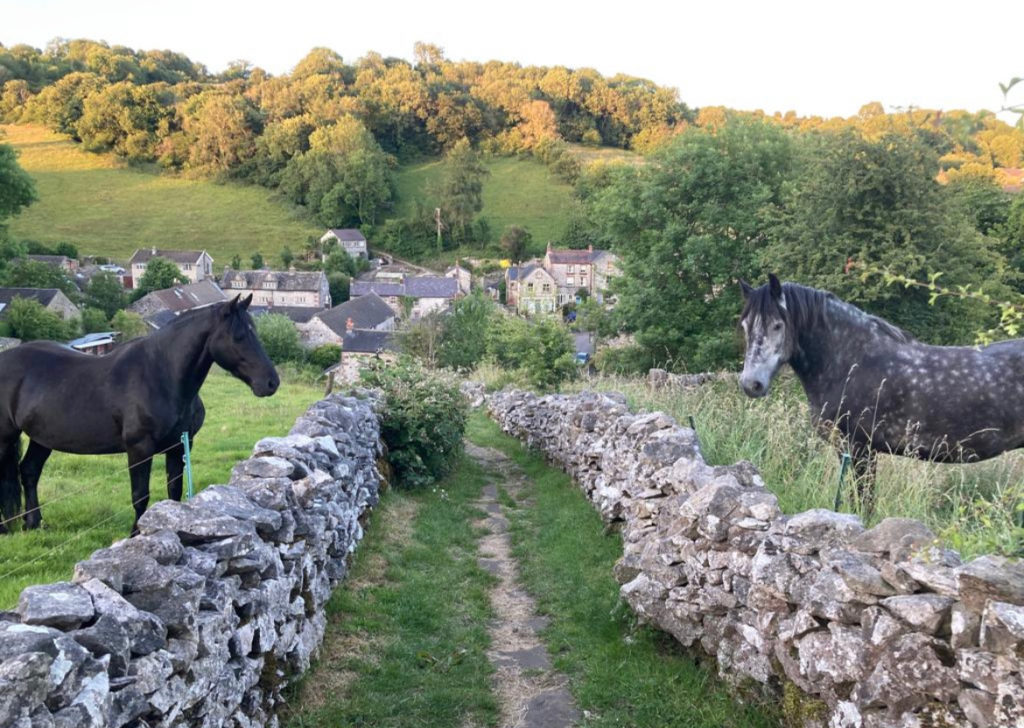 Rewilded Retreats 9