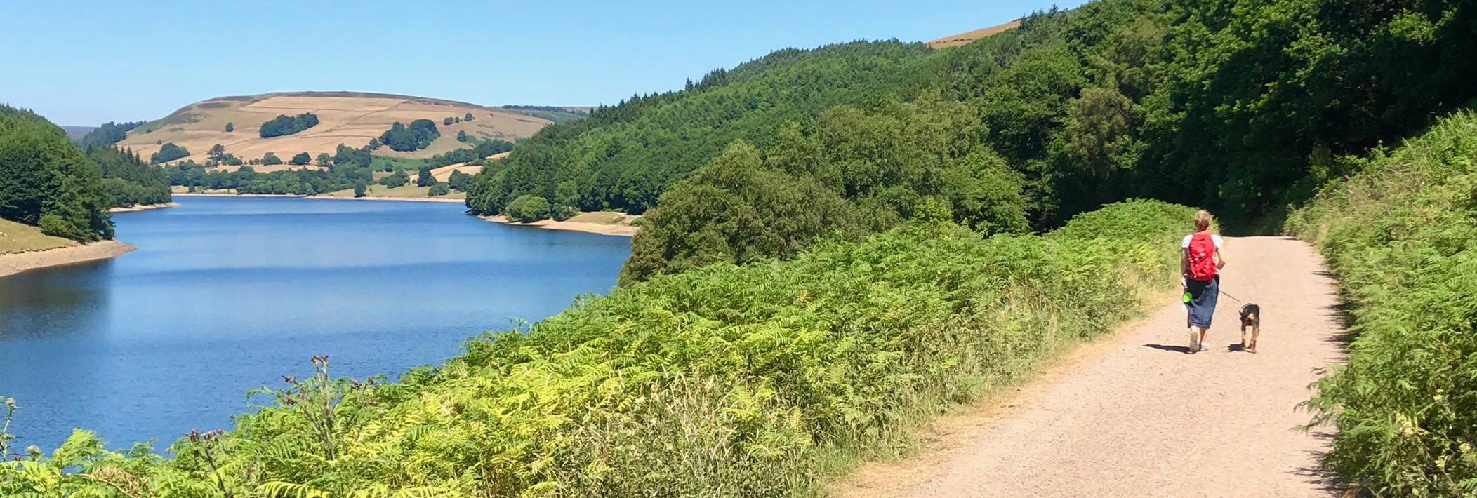 Dog Friendly Peak District Cottages and Things to Do