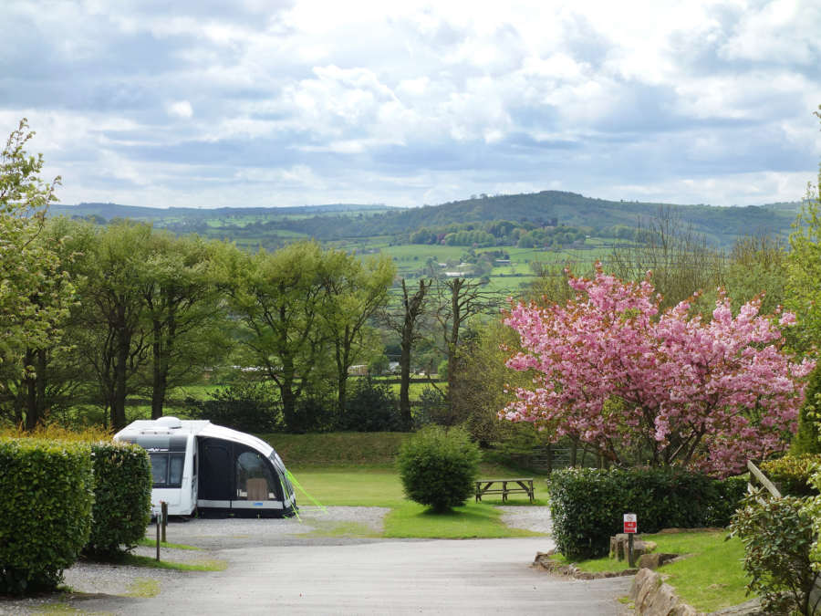 Lickpenny Caravan Park
