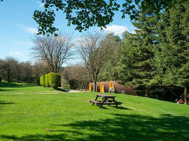 Lime Tree Holiday Park 8