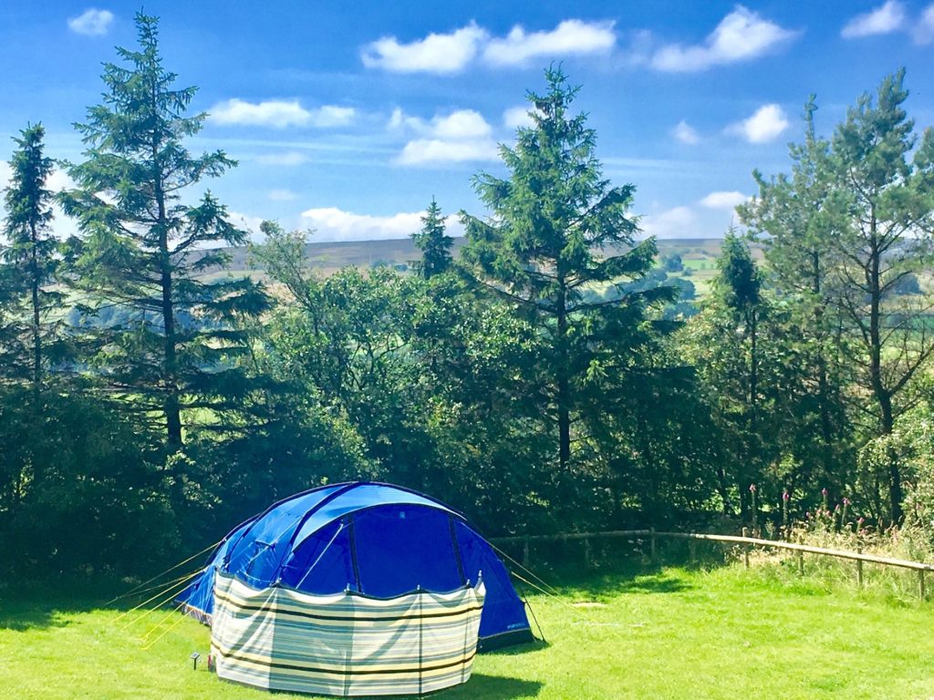 Longnor Wood Holiday Park 10