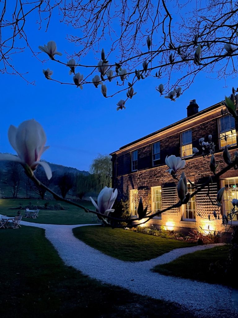 Oakhill 1