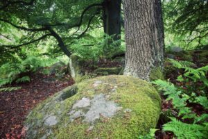 All About the Peak District 2