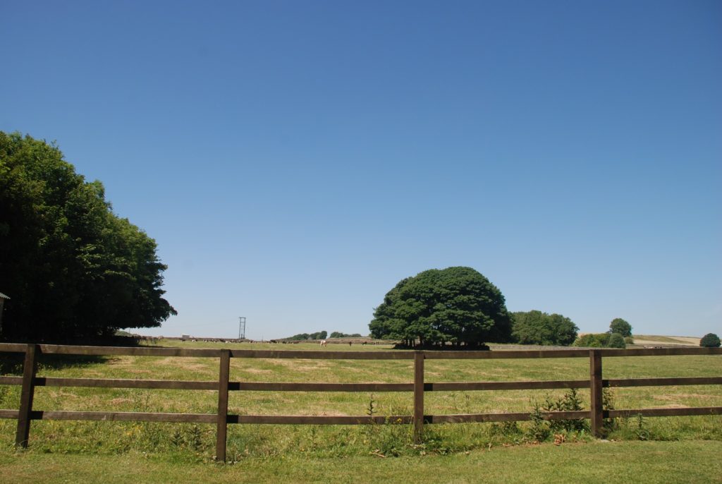 Pomeroy Farm 3