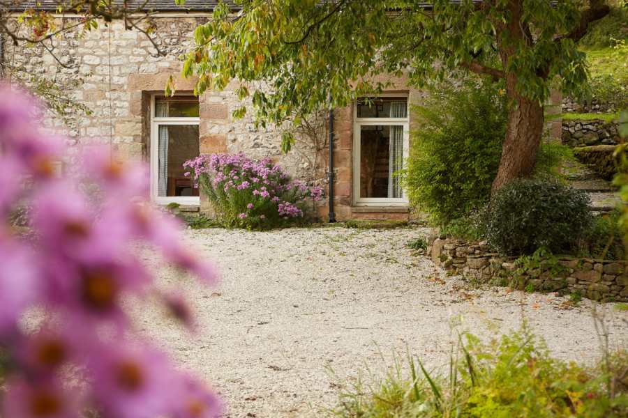 Rewilded Retreats 8