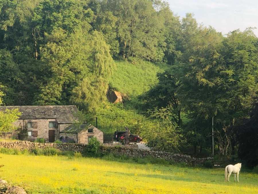 Rocking Stone Cottages 8