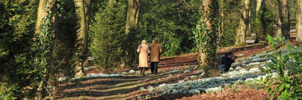Hopton Hall Snowdrop Walk