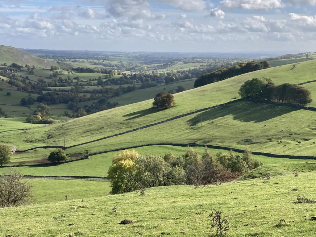 Throwley Hall Farm 9
