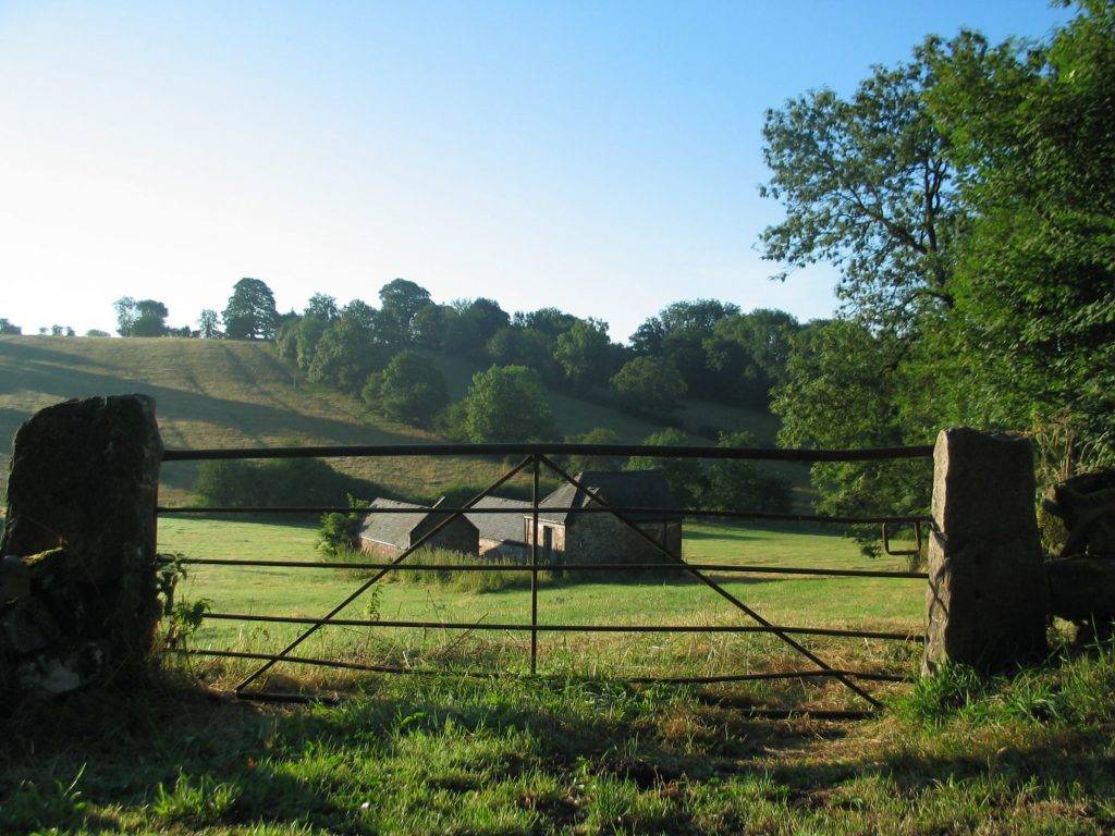 Tom's Barn and Douglas's Barn 12