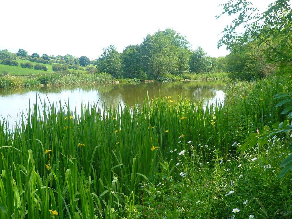 Best Peak District Campsites : Callow Top