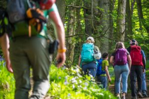 Experiences and Adventures in the Peak District 3