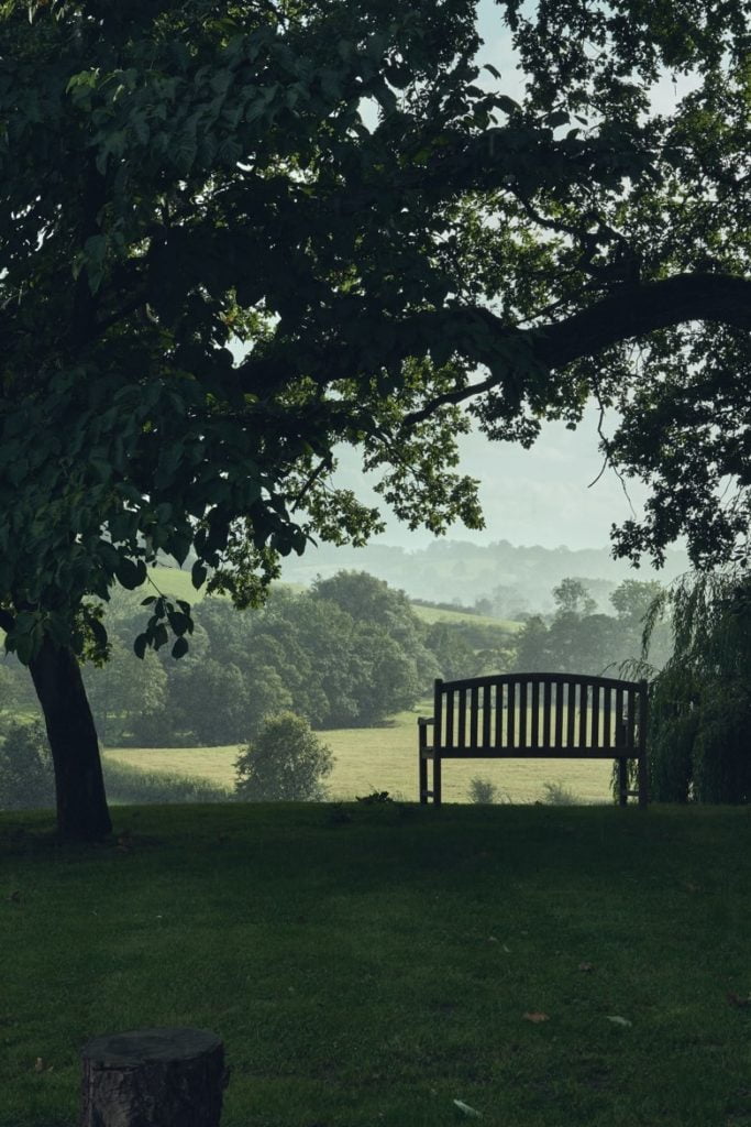 Wildhive, Callow Hall 2