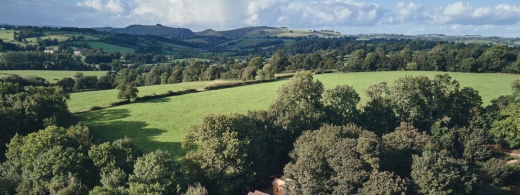 Wildhive, Callow Hall 17
