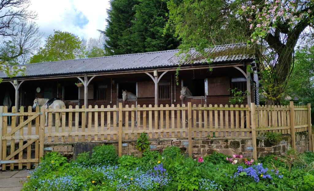 Yew Tree Farm 7