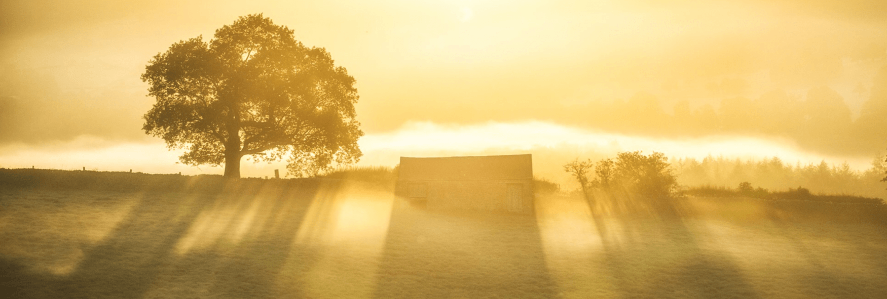 Peak District Photography